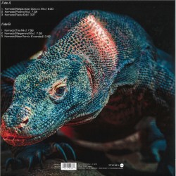 Mauro Picotto - Komodo