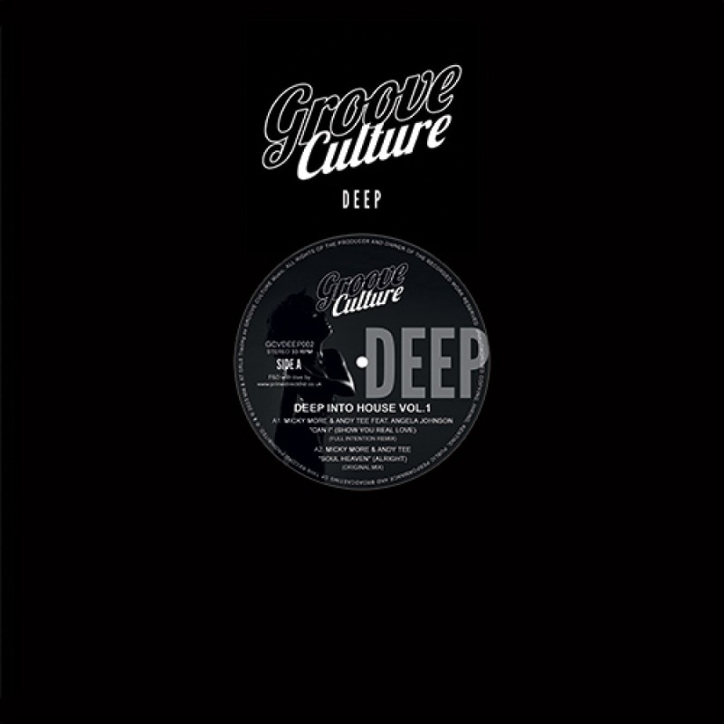 Various Artists - Deep Into House Vol.1