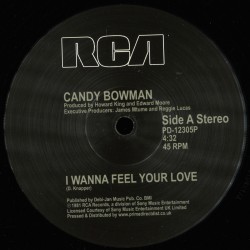 Candy Bowman - I Wanna Feel Your Love / Since I Found You (love Is Better Than ever )