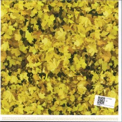 Mark Funk / Danny Cruz - The Best Of Cruise Music Vol 1