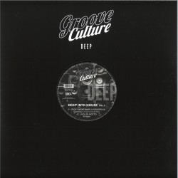 Ricky Montanari & Discoplex / Luca Olivotto / Gianni Bini - Deep Into House Vol.3