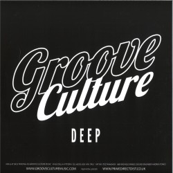 Ricky Montanari & Discoplex / Luca Olivotto / Gianni Bini - Deep Into House Vol.3