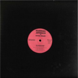 Marshall Jefferson vs Noosa Heads - Mushrooms