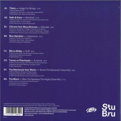 VARIOUS ARTISTS - THE GREATEST SWITCH VINYL 2 (2x12")